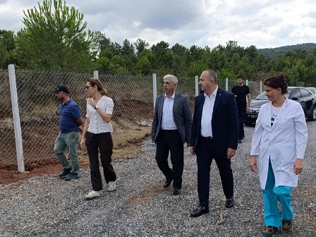 Sokak Hayvanlari Bakimevi Pojesi